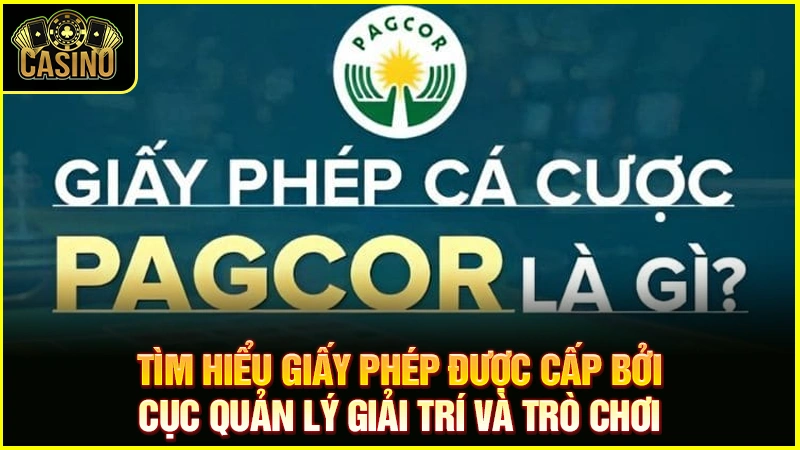 PAGCOR là gì? Cách đăng ký PAGCOR trong ngành gambling 12 PAGCOR là gì? Cách đăng ký PAGCOR trong ngành gambling 11
