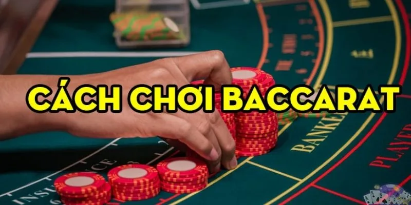 Cách chơi baccarat luôn thắng, toàn bí kíp đánh hiệu quả 24